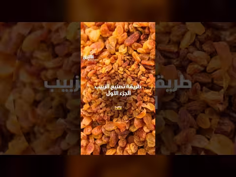 كيفية تصنيع الزبيب
