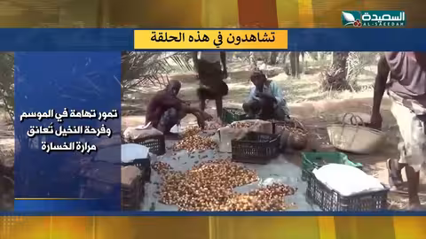 غزة.. كنوز أثرية تعود.. ومهرجان حضرموت يحتفي بالتراث