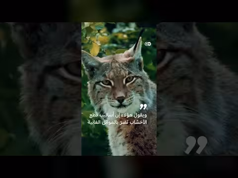 استغلال إيكيا للغابات في رومانيا
