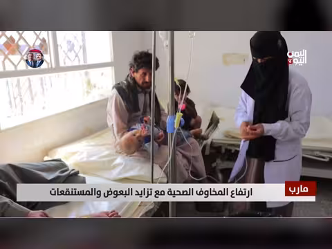 ارتفاع المخاوف الصحية في مارب بسبب البعوض