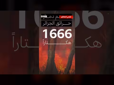 حرائق غابات واسعة في الجزائر