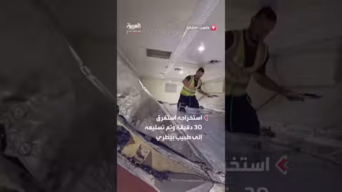 ثعبان يؤخر رحلة طيران داخل أستراليا ساعتين