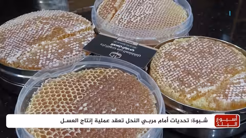 قيود تصدير العسل اليمني: تحديات تواجه النحالين