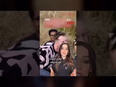 مسابقة تقليد أصوات الإوز تجذب المتسابقين في لندن