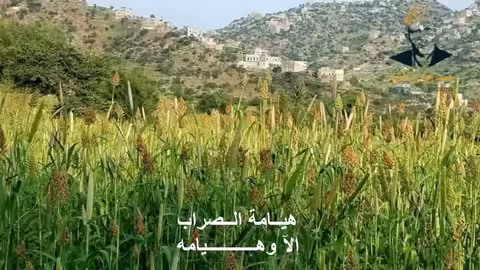 هيامة الصراب ايوب طارش