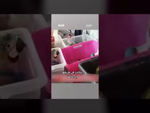 السلطات الإيطالية تحبط تهريب مئات الحيوانات النادرة