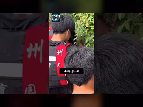 أوقفوا التدريب لإنقاذ جرو عالق بين الصخور