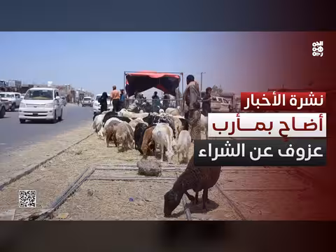أزمة الأضاحي في مأرب