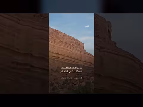 حمير على مرتفعات شاهقة بحثاً عن الطعام