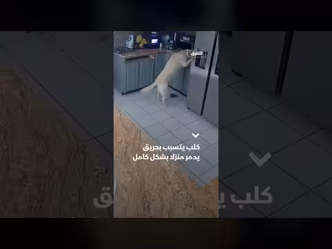 كلب يتسبب في حريق يدمر منزلاً بالكامل