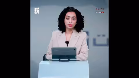 قيود حوثية على حصاد المانجو في تهامة.. ابتزاز مالي للمزارعين