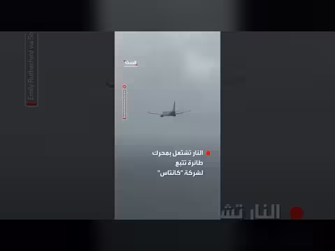 اشتعال النار بطائرة كانتاس بعد اصطدامها بطائر أثناء التحليق
