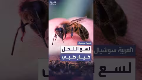 علاج لسعات النحل: مخاطر وحذر طبي