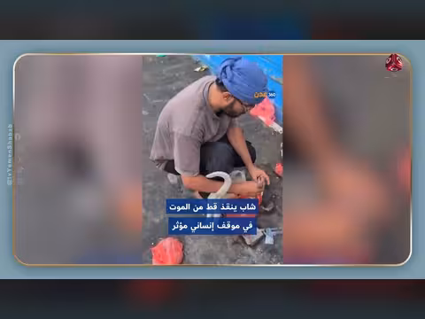 لحظات مؤثرة بين شاب وقط مصاب
