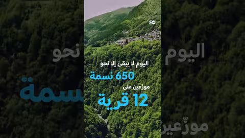 قرى الأشباح السويسرية: الحياة في الوديان المعزولة