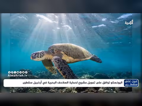 اليونسكو توافق على تمويل مشروع لحماية السلاحف البحرية في سقطرى