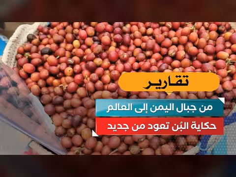 من جبال اليمن إلى العالم.. حكاية البُن تعود من جديد