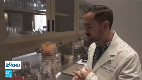 كواترو سيينيغاس: كنز بيولوجي قديم يواجه خطر الجفاف