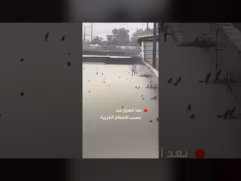 هروب 900 ثعبان في الصين بسبب فيضانات