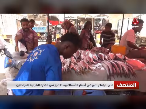 ارتفاع أسعار الأسماك في لحج وسط عجز القدرة الشرائية