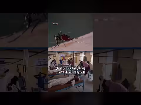 حمى الضنك تودي بحياة 5 أشخاص في سنار وسط 1400 إصابة