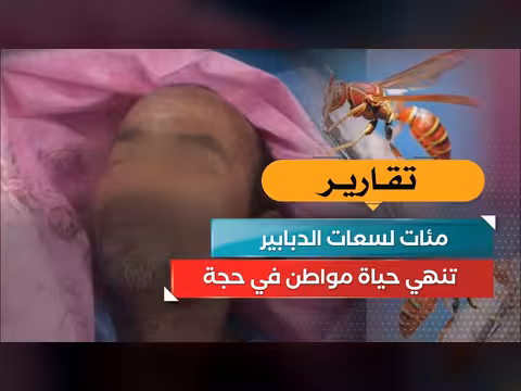 مئات لسعات الدبابير تودي بحياة مواطن في حجة