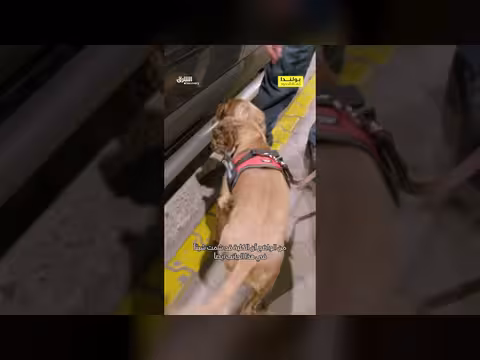 الكلب يوقع المسافر في ورطة مع الجمارك في بولندا