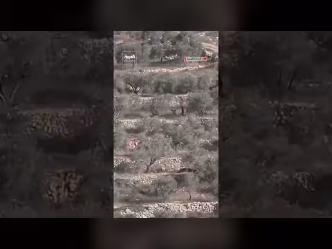 مستوطنون يعتدون على سيدة فلسطينية ويسلبون محصولها في نابلس