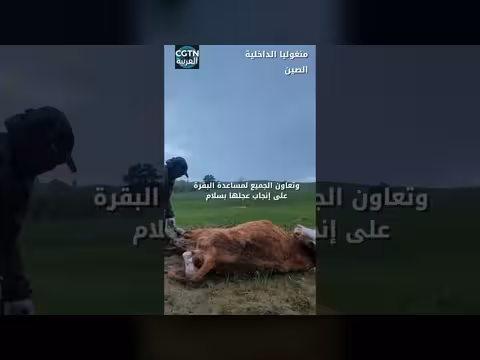 لقاء عابر ينقذ حياتين في منغوليا الداخلية