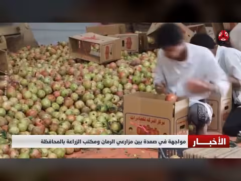 مواجهة في صعدة بين مزارعي الرمان ومكتب الزراعة بالمحافظة