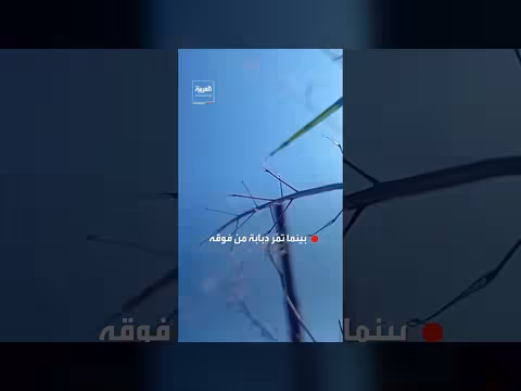 مقاتل برازيلي يصوّر نفسه تحت دبابة في أوكرانيا