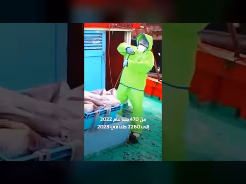 الحبار يغزو بحر الشمال مع ارتفاع الحرارة ويصبح موردًا للصيادين