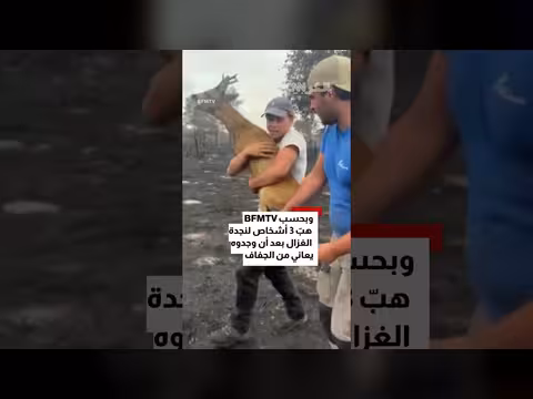 شبّان ينقذون غزالاً عالقاً وسط حرائق الغابات في فرنسا