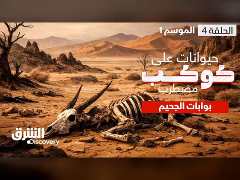 أسرار القارة الغامضة