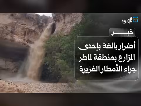 أضرار مزارع لماطر في شبوة بسبب الأمطار الغزيرة