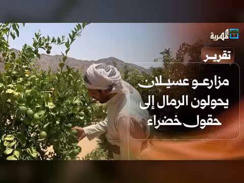 مزارعو عسيلان يحولون الرمال إلى حقول خضراء