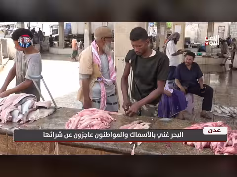 عدن | وفرة الأسماك في البحر وعجز المواطنين عن شرائها