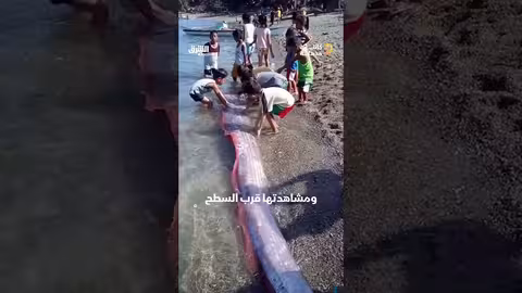 ظهورها يُرعب السكان