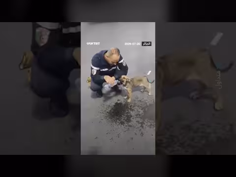 عنصر حماية مدنية ينقذ كلبة من حريق الغابات