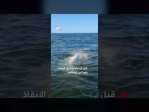 فرق الإنقاذ توجه حوتاً ضخماً نحو المياه العميقة قبالة بولندا