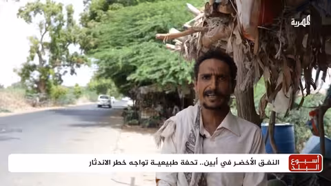 مشاريع في المهرة وأبين: جسر صيني، نفق أخضر، ومتحف بحري