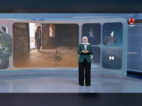 ثعبان يلدغ طفلة يمنية للمرة التاسعة في برنامج كومنت