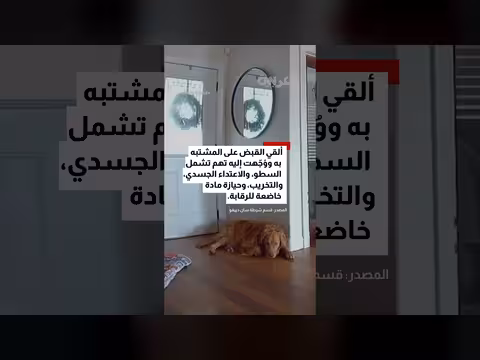 كلب يرحب بلص اقتحم منزله بإحضار لعبة بدل مهاجمته