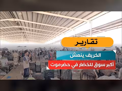الخريف ينعش سوق الخضار في حضرموت