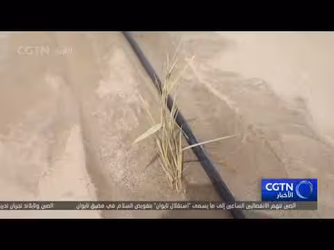 أروندو دوناكس حاجز إيكولوجي في الصحراء