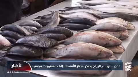 عدن.. موسم الرياح يدفع أسعار الأسماك إلى مستويات قياسية