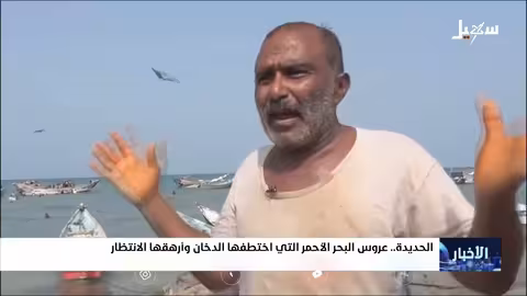 الحديدة: تدهور الأوضاع البيئية والإنسانية يثير القلق