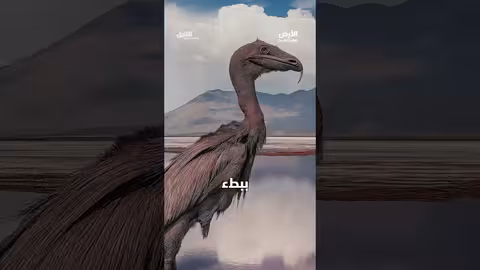 بحيرة النطرون