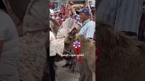 مسابقة إقليمية لتكريم الفلاحين وحميرهم في أمريكا اللاتينية