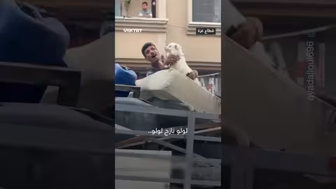 كلب يرافق عائلة فلسطينية نازحة